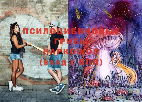 mdma Протвино