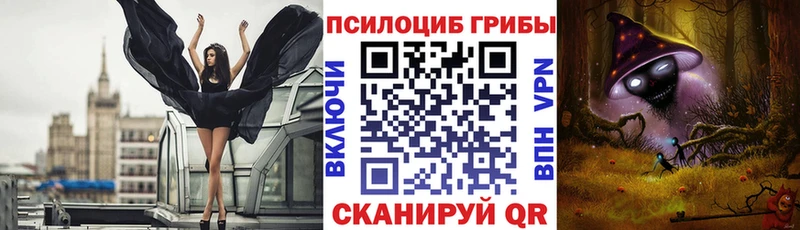 Псилоцибиновые грибы прущие грибы  дарк нет наркотические препараты  Приволжский 